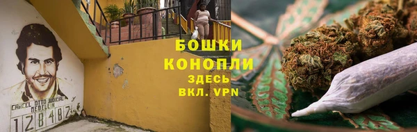 бутират Гусь-Хрустальный