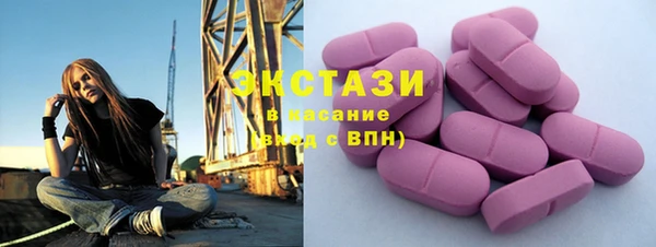 амф Гусев