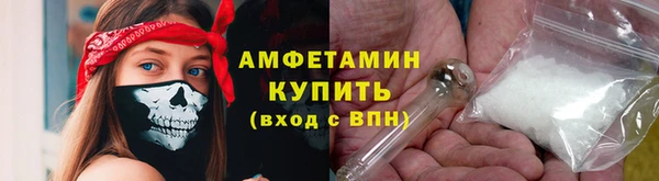 амф Гусев