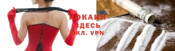 амф Гусев