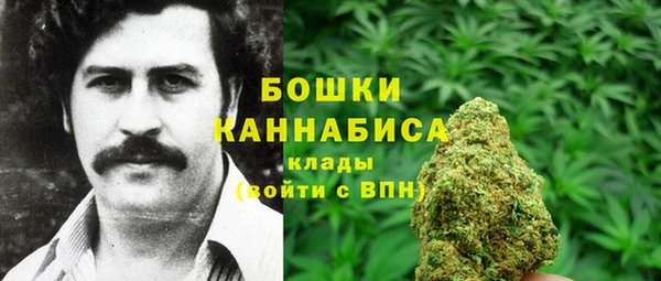 apvp Горно-Алтайск