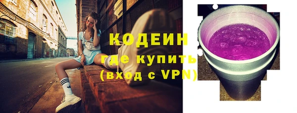 амф Гусев