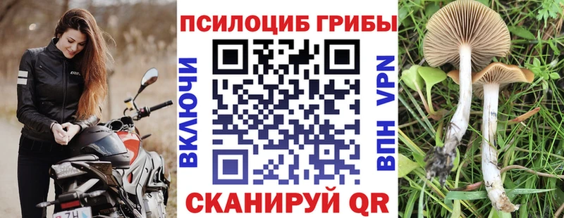 Галлюциногенные грибы мухоморы  OMG как войти  Кашира  цены наркотик 
