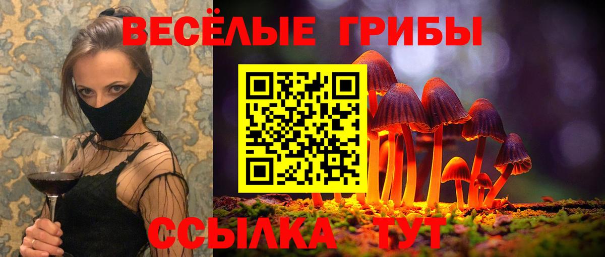 Галлюциногенные грибы прущие грибы Кашира