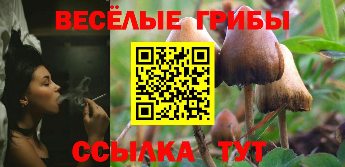 Галлюциногенные грибы прущие грибы  Вход с VPN  Кашира  Псилоцибиновые грибы Cubensis 